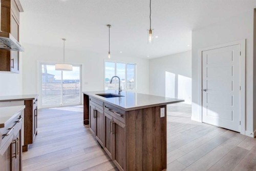 315 Dawson Dock Way, Chestermere, AB - Indoor Photo Showing Kitchen With Upgraded Kitchen
