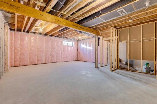 315 Dawson Dock Way, Chestermere, AB - Indoor Photo Showing Basement