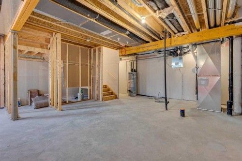 315 Dawson Dock Way, Chestermere, AB - Indoor Photo Showing Basement