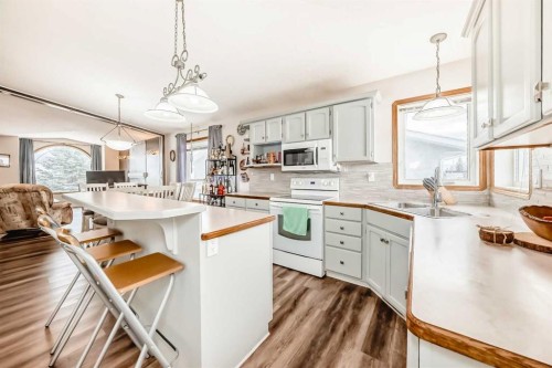 22 Kilburn Crescent, Red Deer, AB - Indoor Photo Showing Kitchen With Double Sink