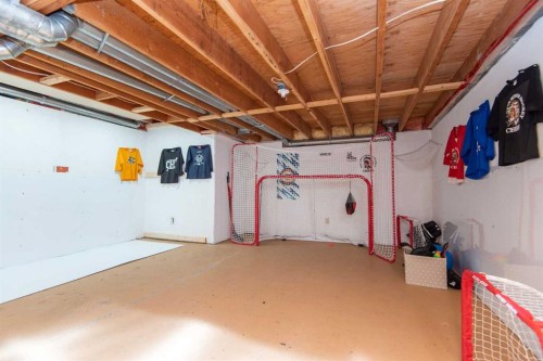50 Ramsey Avenue, Red Deer, AB - Indoor Photo Showing Basement