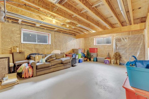 89 Connaught Crescent, Red Deer, AB - Indoor Photo Showing Basement
