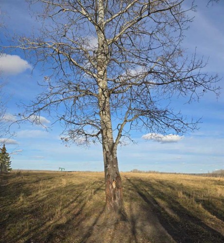 465051 Range Road 41, Winfield, AB 