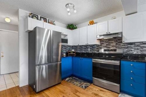 60 Bridlecreek Terrace Sw, Calgary, AB - Indoor Photo Showing Kitchen With Upgraded Kitchen