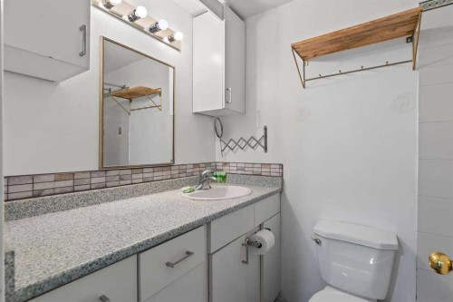 60 Bridlecreek Terrace Sw, Calgary, AB - Indoor Photo Showing Bathroom
