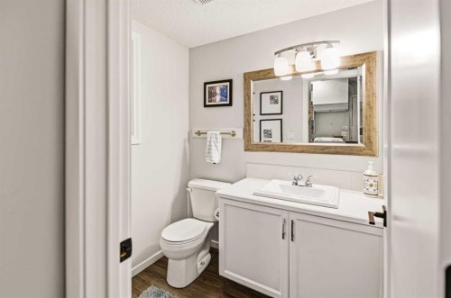 164 Dixon Crescent, Red Deer, AB - Indoor Photo Showing Bathroom