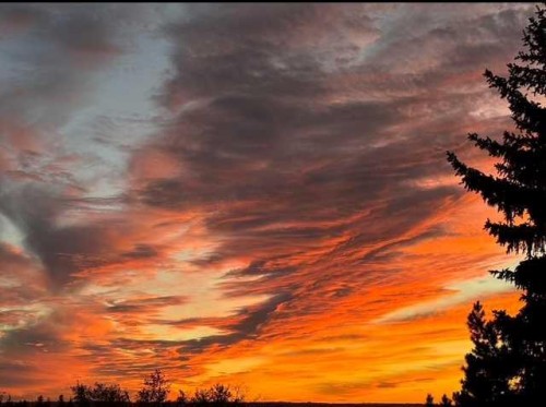 7 Westview Drive, Lacombe, AB - Outdoor With View