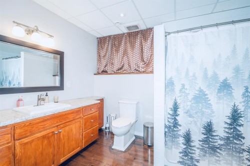 344 Timothy Drive, Red Deer, AB - Indoor Photo Showing Bathroom