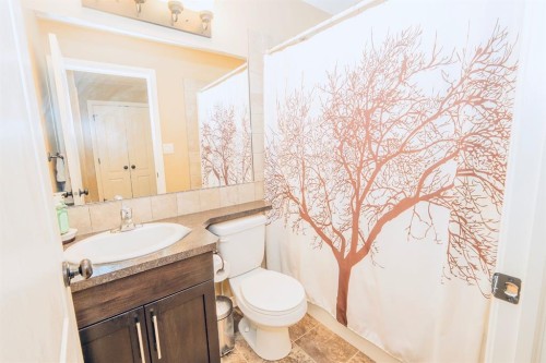 344 Timothy Drive, Red Deer, AB - Indoor Photo Showing Bathroom