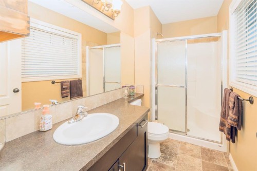 344 Timothy Drive, Red Deer, AB - Indoor Photo Showing Bathroom