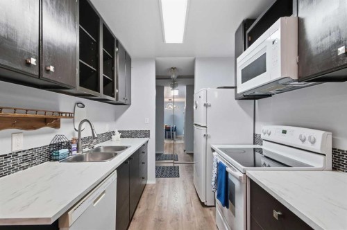 408-10511 19 Avenue Nw, Edmonton, AB - Indoor Photo Showing Kitchen With Double Sink