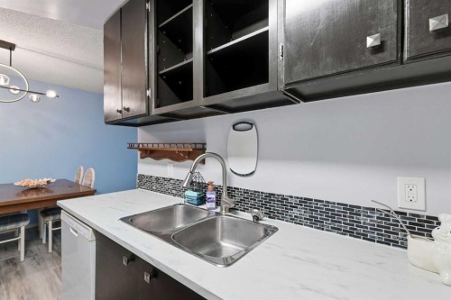 408-10511 19 Avenue Nw, Edmonton, AB - Indoor Photo Showing Kitchen With Double Sink
