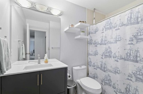 408-10511 19 Avenue Nw, Edmonton, AB - Indoor Photo Showing Bathroom