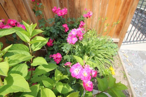 4109 51A Street, Red Deer, AB - 