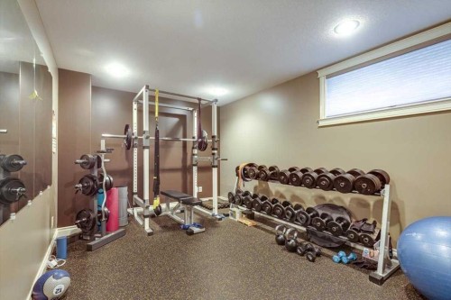 38 Estella Crescent, Lacombe, AB - Indoor Photo Showing Gym Room
