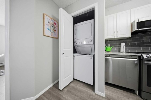 229-56 Carroll Crescent, Red Deer, AB - Indoor Photo Showing Laundry Room