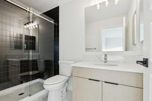 199 Langwell Common Se, Airdrie, AB - Indoor Photo Showing Bathroom