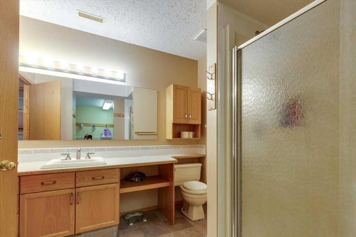 14 Lawrence Crescent, Red Deer, AB - Indoor Photo Showing Bathroom