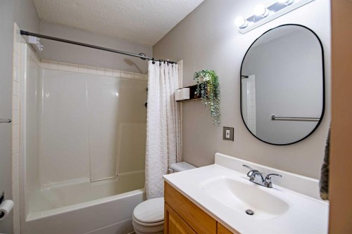 1012-25054 South Pine Lake Road, Rural Red Deer County, AB - Indoor Photo Showing Bathroom