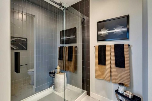 12 Aster Link, Okotoks, AB - Indoor Photo Showing Bathroom