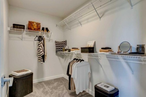 12 Aster Link, Okotoks, AB - Indoor With Storage