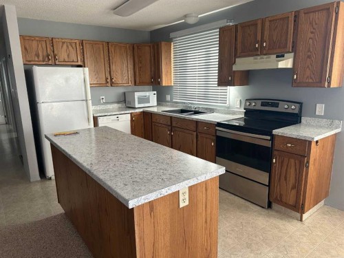 4921 53 Street, Rocky Mountain House, AB - Indoor Photo Showing Kitchen With Double Sink