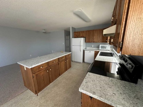 4921 53 Street, Rocky Mountain House, AB - Indoor Photo Showing Kitchen With Double Sink