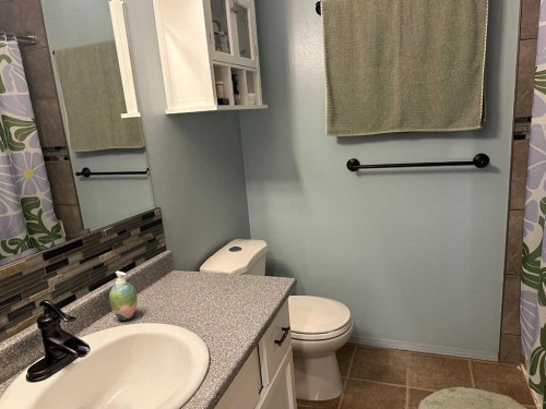 A & B-4923 53 Street, Rocky Mountain House, AB - Indoor Photo Showing Bathroom