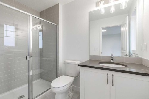 221 Bridgeport Gate Sw, Chestermere, AB - Indoor Photo Showing Bathroom
