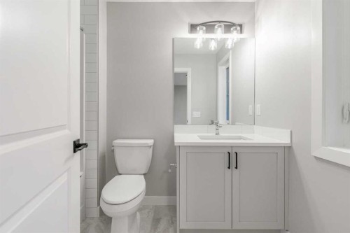 197 Bridgeport Gate, Chestermere, AB - Indoor Photo Showing Bathroom