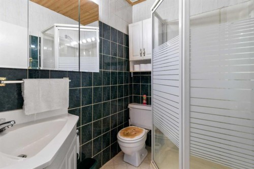 2013 25Th Avenue, Delburne, AB - Indoor Photo Showing Bathroom