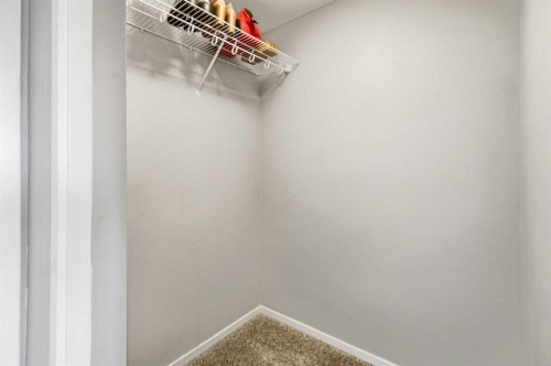 1-5301 Windward Place, Sylvan Lake, AB - Indoor With Storage