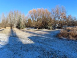 5000 53 A Street  Sangudo, AB T0E 2A0