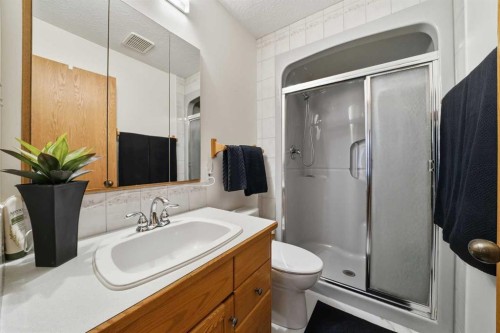 108 Dunham Close, Red Deer, AB - Indoor Photo Showing Bathroom