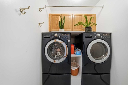 108 Dunham Close, Red Deer, AB - Indoor Photo Showing Laundry Room