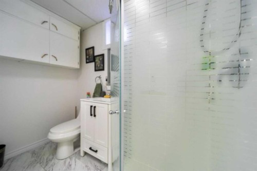 4802 51 Avenue, Strome, AB - Indoor Photo Showing Bathroom