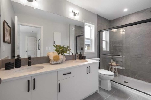 541 Bridgeport Street, Chestermere, AB - Indoor Photo Showing Bathroom
