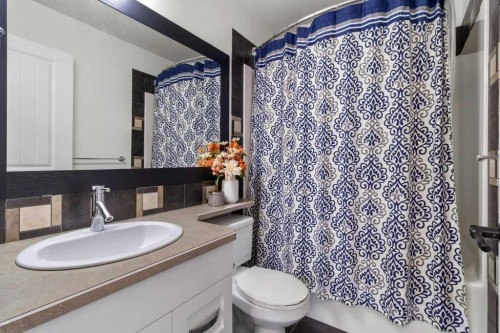 20 Oakfield Close, Red Deer, AB - Indoor Photo Showing Bathroom