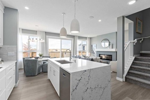 207 Huxland Path, Calgary, AB - Indoor Photo Showing Kitchen With Fireplace With Upgraded Kitchen