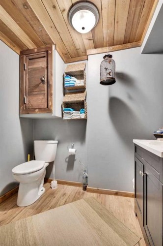 4824 50 Street, Clive, AB - Indoor Photo Showing Bathroom