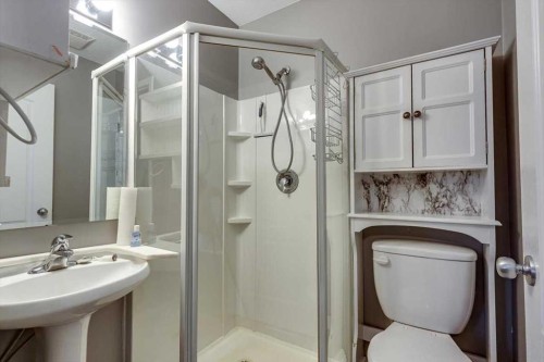 6110 38 Avenue, Stettler, AB - Indoor Photo Showing Bathroom