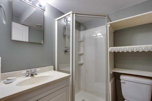 6110 38 Avenue, Stettler, AB - Indoor Photo Showing Bathroom