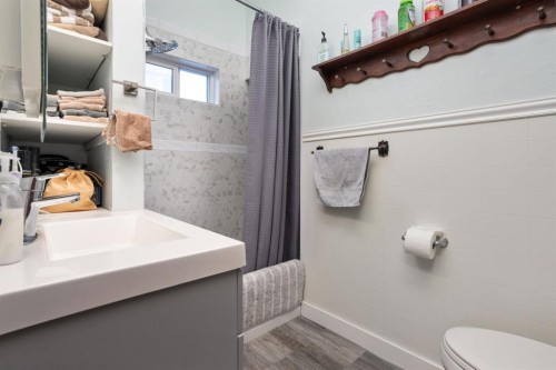 4825 51 St, Sedgewick, AB - Indoor Photo Showing Bathroom