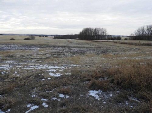Near Clive, Rural Lacombe County, AB 
