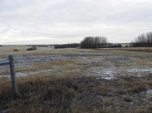 Near Clive, Rural Lacombe County, AB 