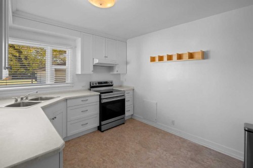 4913 54 Street, Camrose, AB - Indoor Photo Showing Kitchen With Double Sink