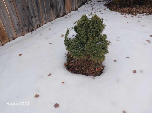 72 Arthur Close, Red Deer, AB - Outdoor