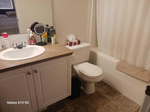 72 Arthur Close, Red Deer, AB - Indoor Photo Showing Bathroom
