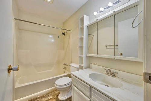 6121 Hamilton Drive, Red Deer, AB - Indoor Photo Showing Bathroom
