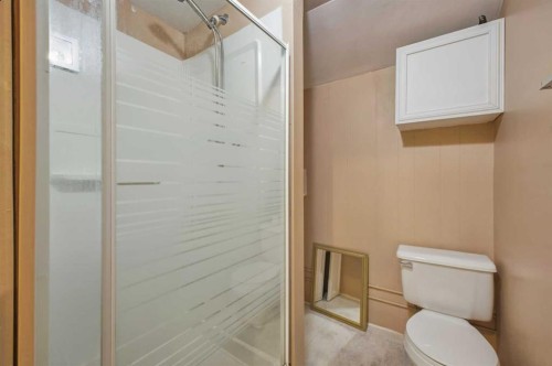 6121 Hamilton Drive, Red Deer, AB - Indoor Photo Showing Bathroom